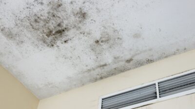 荷物が片付かない実家は「カビと害虫の温床」になる── 衣類・紙類・家具が原因で空気・構造に影響する現象とは