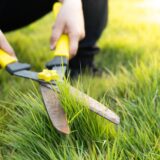 空き家の草刈り・見回りを頼める人・サービス一覧【全国対応】── 実務系のまとめ／外注・行政・地域ボランティアまで網羅
