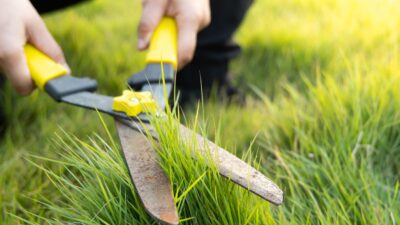 空き家の草刈り・見回りを頼める人・サービス一覧【全国対応】── 実務系のまとめ／外注・行政・地域ボランティアまで網羅