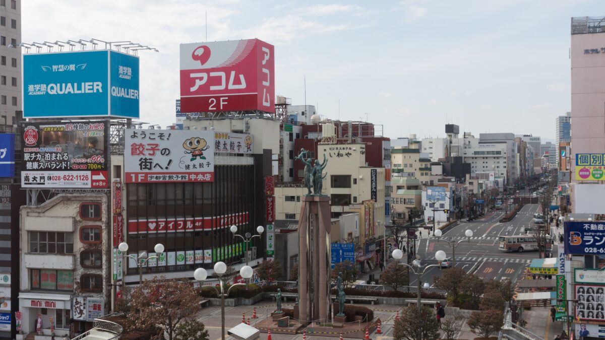 【2025年最新】栃木県の太陽光発電補助金を完全解説！全25市町村の制度まとめ